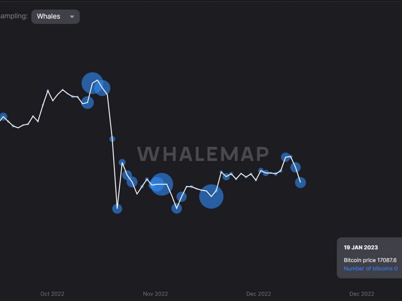 The chart shows renewed accumulation by whales since BTC fell below the June low in early November. (Source: Whalemap)