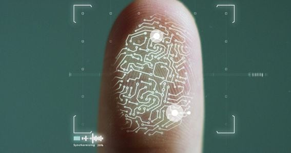 identity, fingerprint