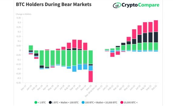 The ongoing bear market has seen consistent accumulation by small and large BTC addresses. (CryptoCompare)