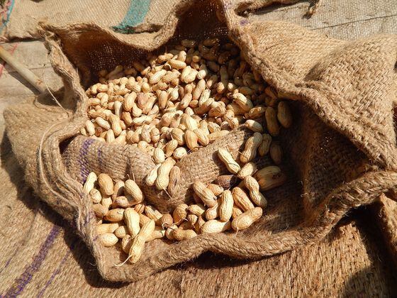 CDCROP: Bag of peanuts (spiceteller/Pixabay)