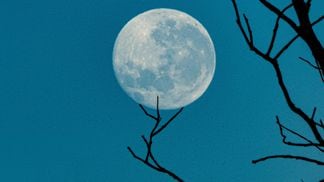 Moon (Ralph Mayhew/Unsplash)