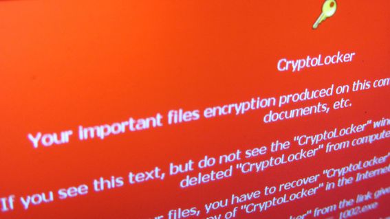 Cryptolocker ransomware, via Flickr/Christiaan Colen