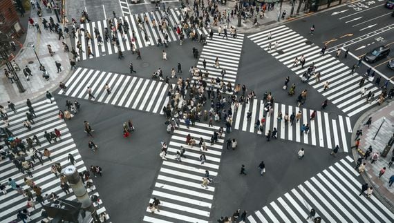 Tokyo crossing. Credit: Shutterstock/Ugis Riba