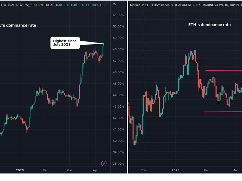 Bitcoin's share in the total crypto market continues to rise while ether's stagnates. (TradingView)