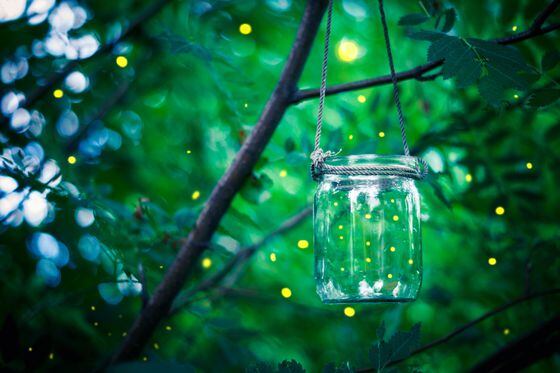 Firefly in a jar