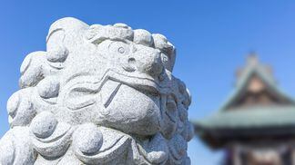 Komainu is named after the statues of mythical "lion dogs" that guard the entrances to Japanese Shinto temples. (Shutterstock)