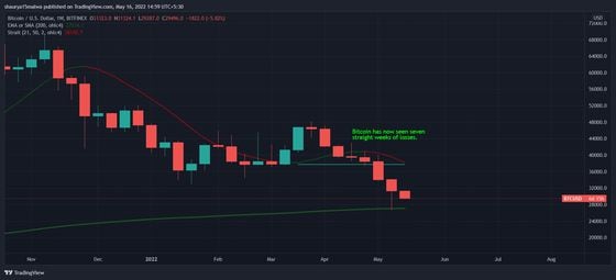 Bitcoin enfrenta una caída de siete semanas seguidas. (TradingView)