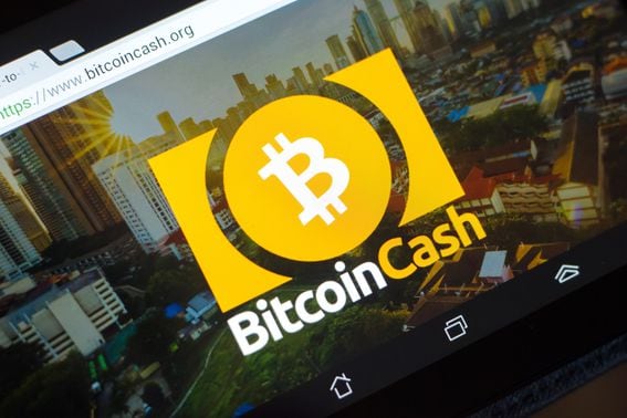bitcoin, cash (Shutterstock)