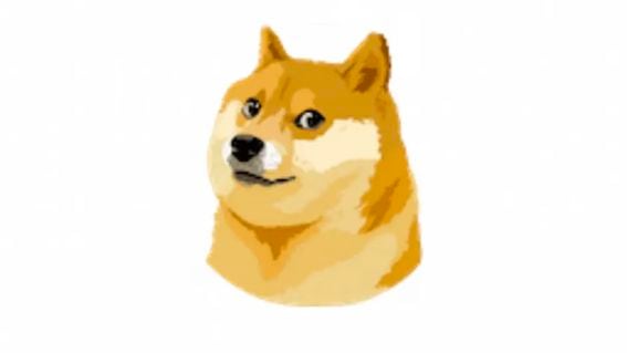 Dogecoin is surging after Twitter changed its logo to the Shiba Inu image that's a symbol of DOGE. (Twitter)