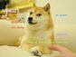 DOGE Meme (Atsuko Sato/Wikimedia)