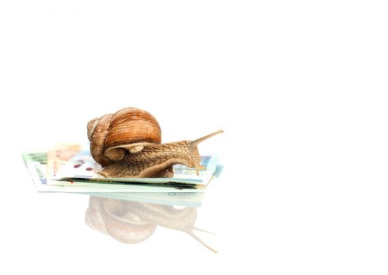 snail, money