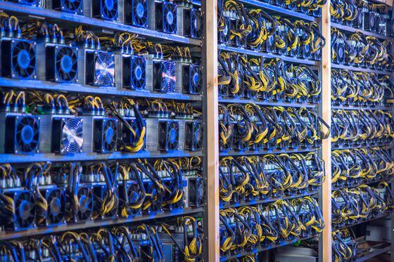 Cryptocurrency mining farm. Credit: Shutterstock