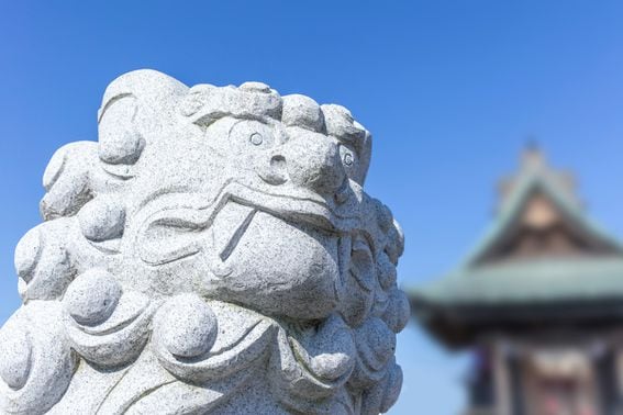 Komainu is named after the statues of mythical "lion dogs" that guard the entrances to Japanese Shinto temples. (Shutterstock)
