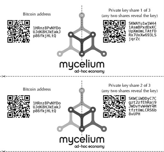 mycelium-entropy-sample