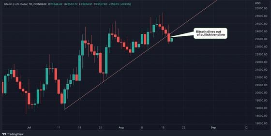 Bitcoin/U.S. dollar daily chart (Omkar Godbole/TradingView)