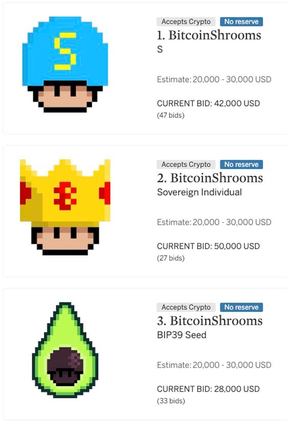 Screengrab of BitcoinShrooms auction from Sotheby's website. (Shroomtoshi/Sotheby's)