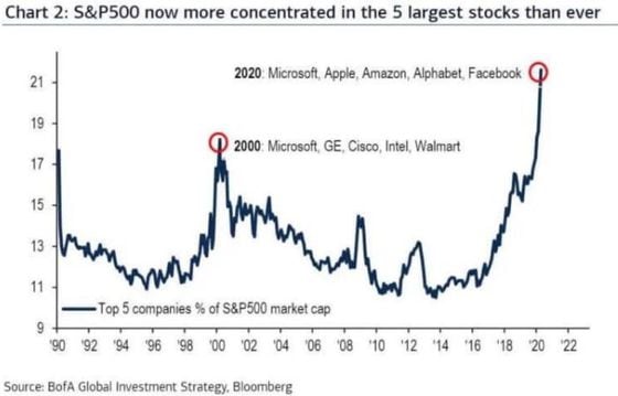 The top five companies in the S&P 500 as a percentage of the index