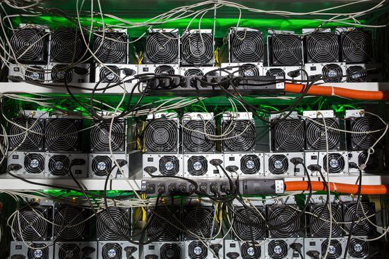 Racks of bitcoin miners (Andrey Rudakov/Bloomberg via Getty Images)