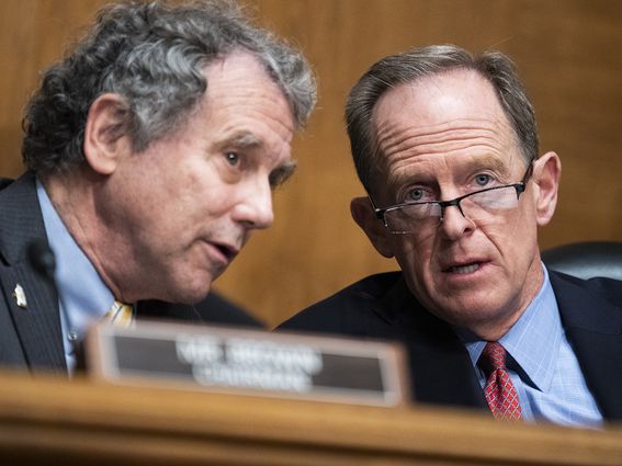 El senador Sherrod Brown (izq) junto a Pat Toomey (der). (Tom Williams-Pool/Getty Images)