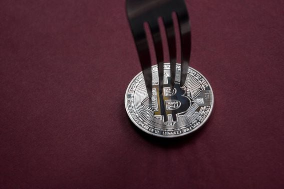 fork, bitcoin