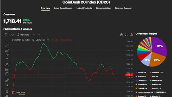 CoinDesk 20 - 2024-01-17 08:44