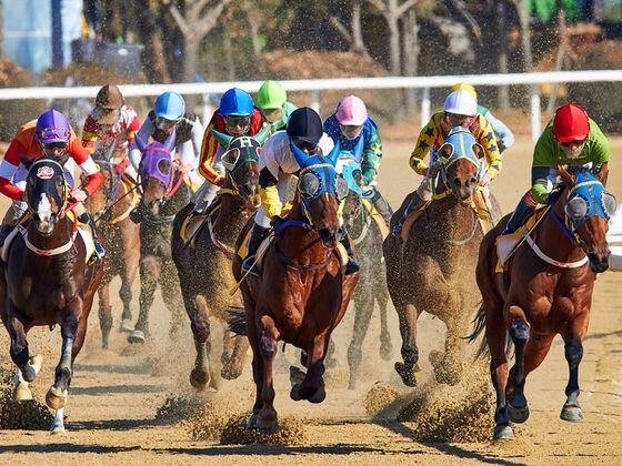 CDCROP: Horse track racing race (Mathew Schwartz via Unsplash)