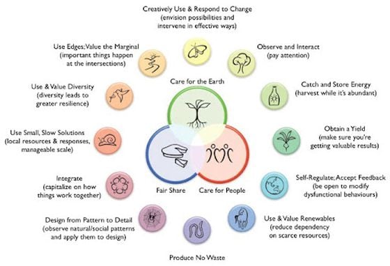 Fig 3: A basic representation of what we’re trying to accomplish with permaculture. A healthy life cycle that is mindful of people, community and nature simultaneously.