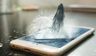A whale is seen apparently surfacing through a mobile-phone screen