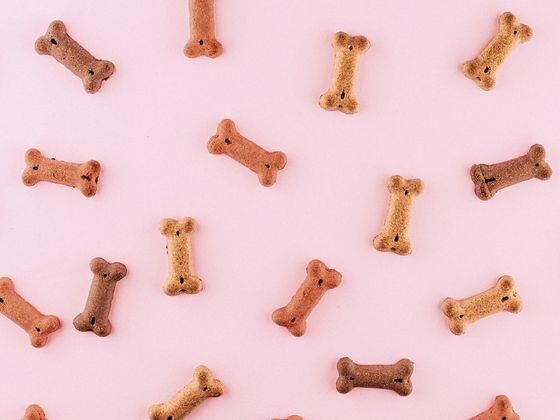 CDCROP: Dog treats on pink background (Unsplash)