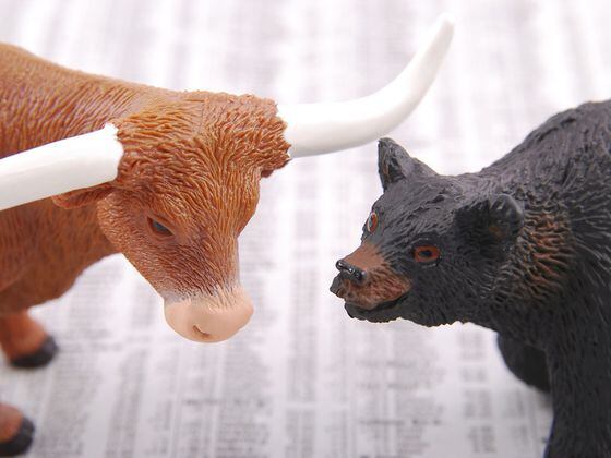 CDCROP: BULL and BEAR (Pixabay)