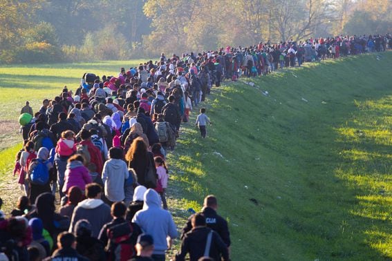 Migrants crossing field