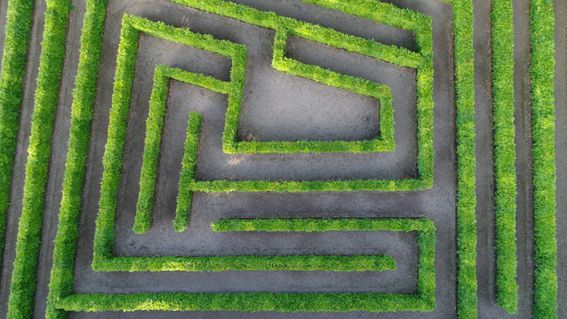 maze, confusion