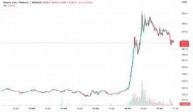 BNB, Binance's token, jumped to as high as almost $400 to the news that Binance and FTX reached a deal. (TradingView)