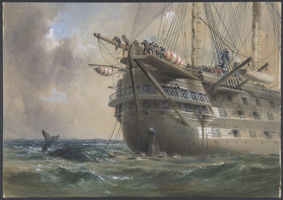 H.M.S. Agamemnon Laying the Atlantic Telegraph Cable in 1858- a Whale Crosses the Line