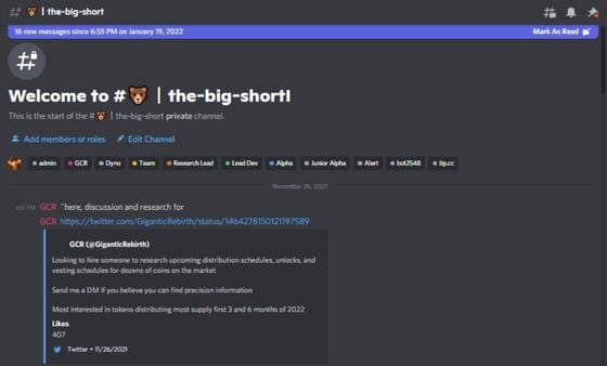 Discussion and research for ‘the big short’ trade occurred in a private chat in RebirthDAO’s Discord. (CoinDesk screenshot)