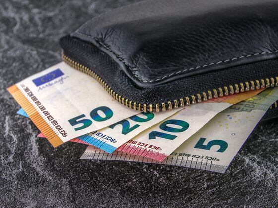 CDCROP: Wallet with Euros (analogicus/Pixabay)
