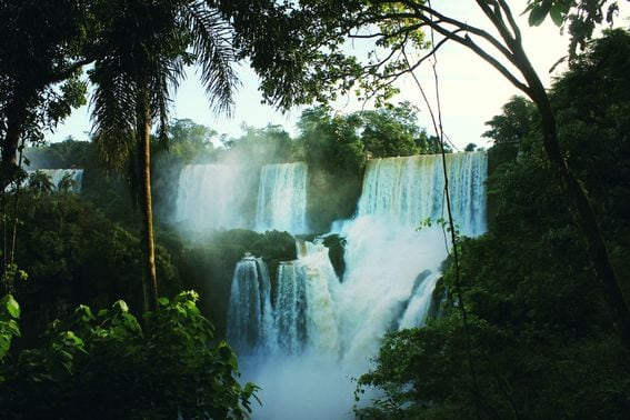 Iguazu Falls, Argentina. (Julia Caesar/Unsplash)