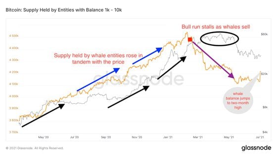 The yellow line represents supply held by whale entities, The black line represents bitcoin's price