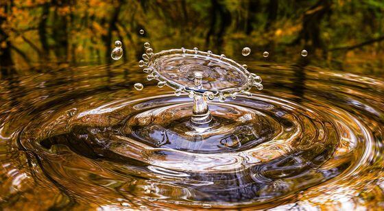 Drop, splash, water (qimono/Pixabay)