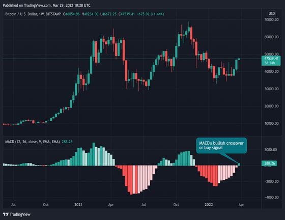 Bitcoin's weekly chart showing MACD histogram's bullish crossover above zero (TradingView)