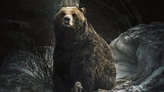 Crypto markets remained bearish. (Christopher Sweet/EyeEm/Getty Images)