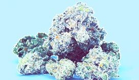 image of marijuana, pot, weed, bud, hash