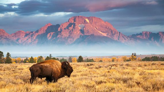 Governor Mark Gordon: Wyoming Wants to Welcome Bitcoin "Pioneers"