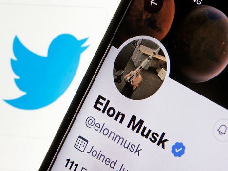CDCROP: Elon Musk Twitter (Chesnot/Getty Images)
