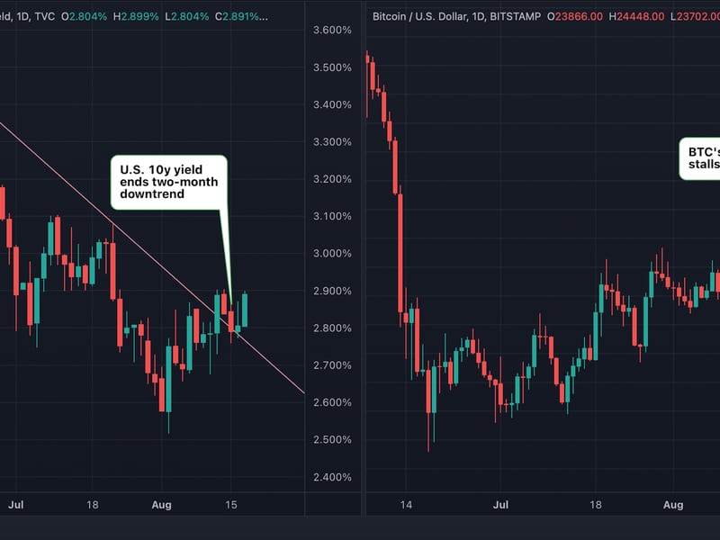 US government bonds 10 year yield and bitcoin/U.S. dollar daily charts (TradingView)