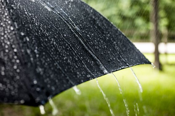Rainy day. Raindrops falling on black umbrella outdoors. Spring, summer.