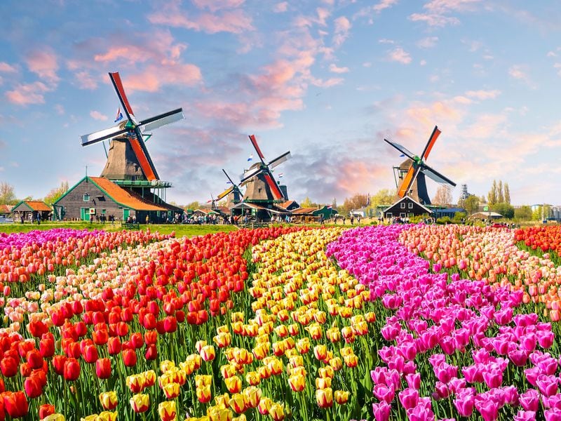 Binance to Quit Netherlands After Failing to Acquire License