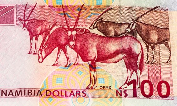 namibia-currency-note