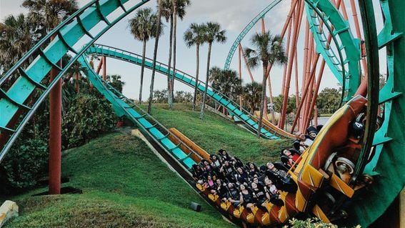 Rollercoaster (Matt Bowden/Unsplash)