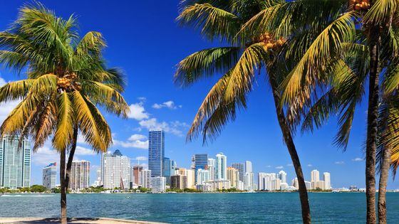 Blockchain.com Is Moving to Miami